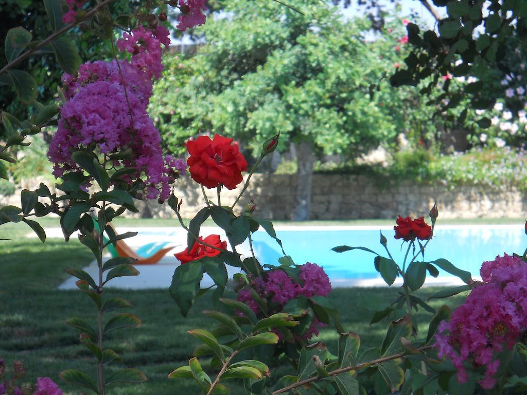 Il Giardino Dei Carrubi Villa Donnalucata  Rum bild